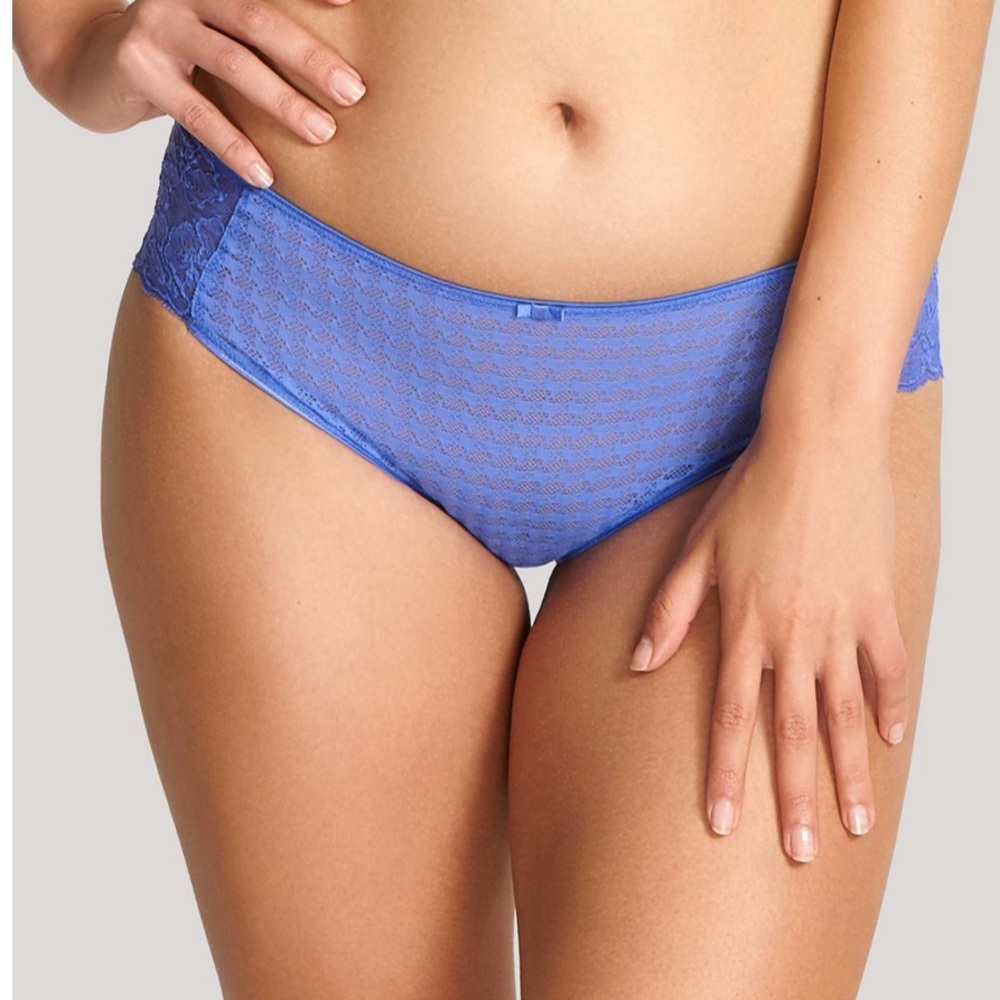 Panache Envy Brief in Cornflower New w Tags size 10